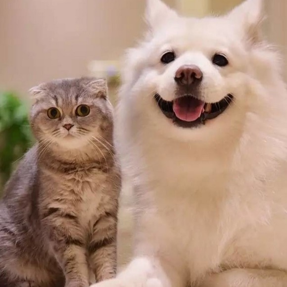 Meet your Posher, Florence - Picture 1 of 1